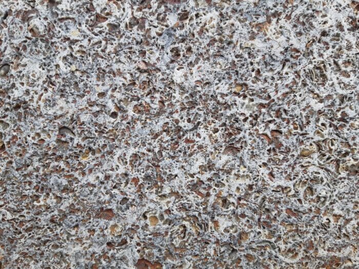 Морской ракушечник